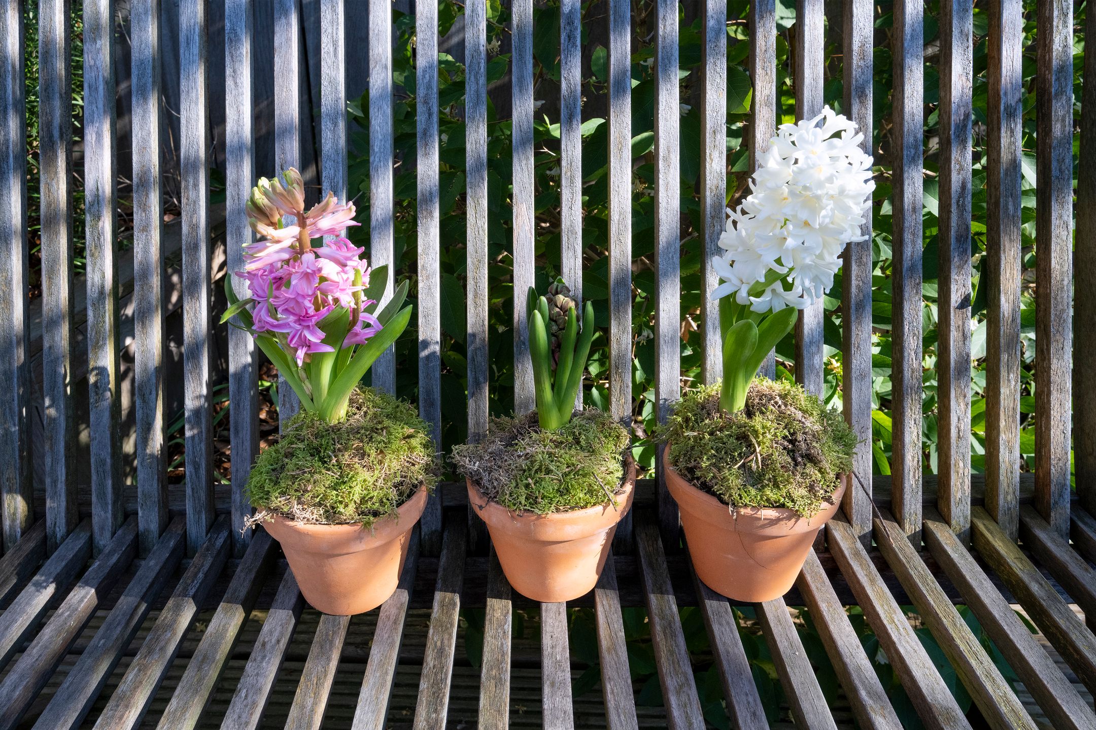 Foto 24 van Longoliusstraat 12