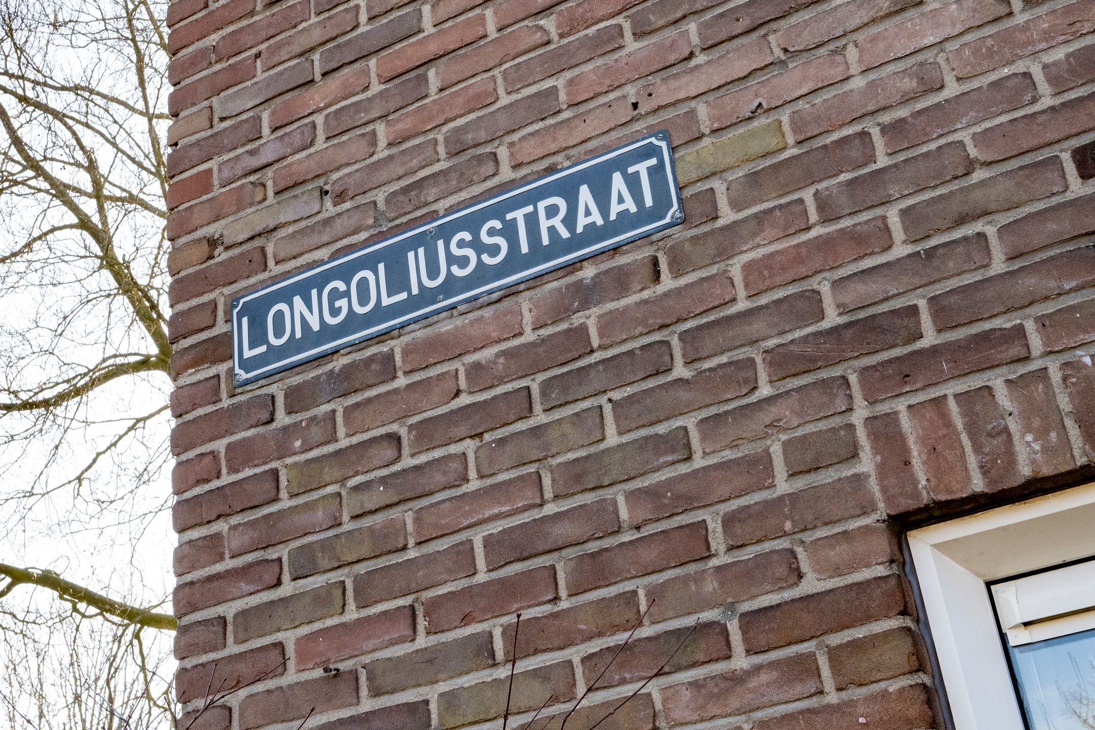 Foto 33 van Longoliusstraat 12