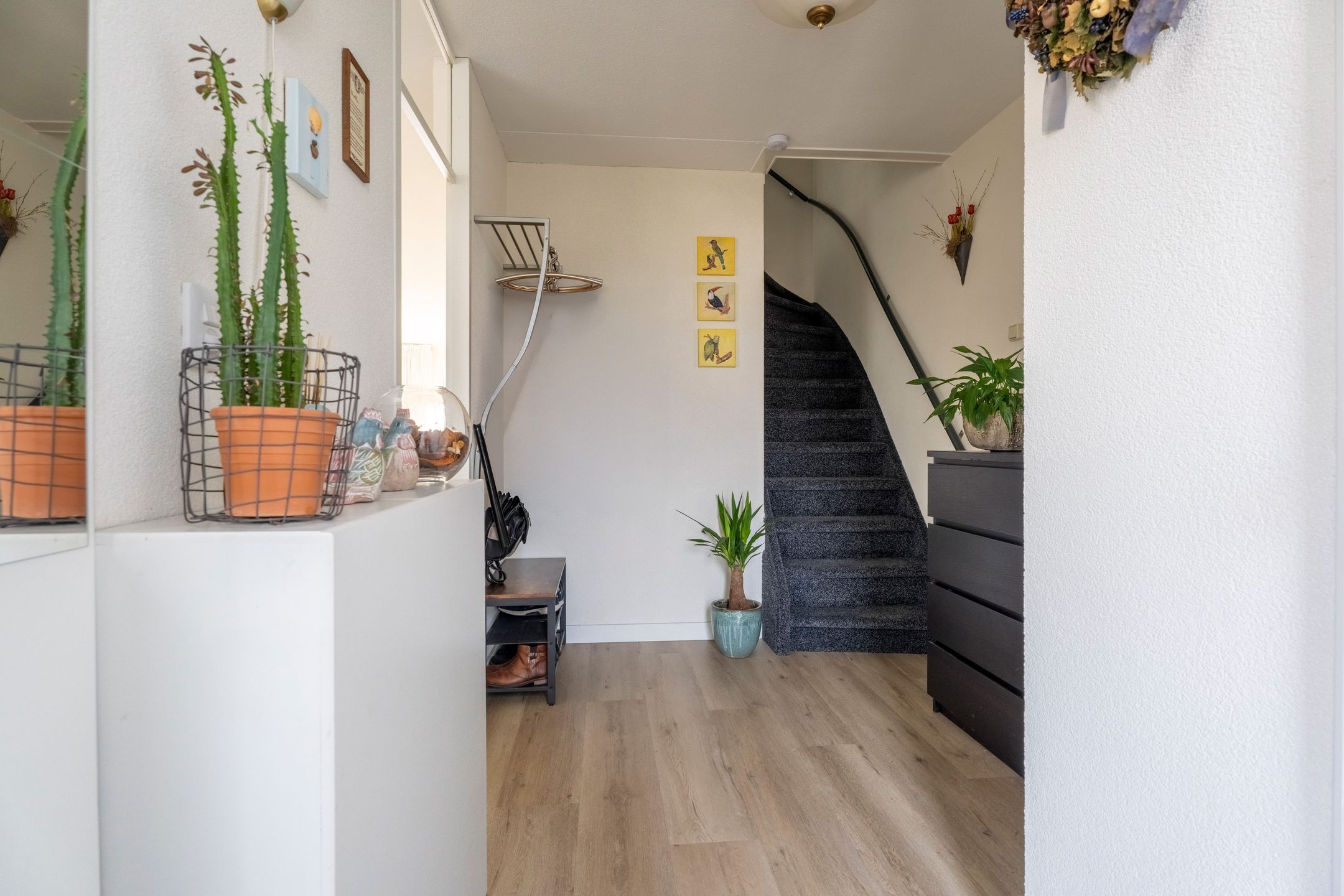 Foto 15 van Foeliezoom 28