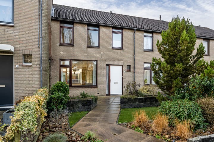 Tureluur 5 main image