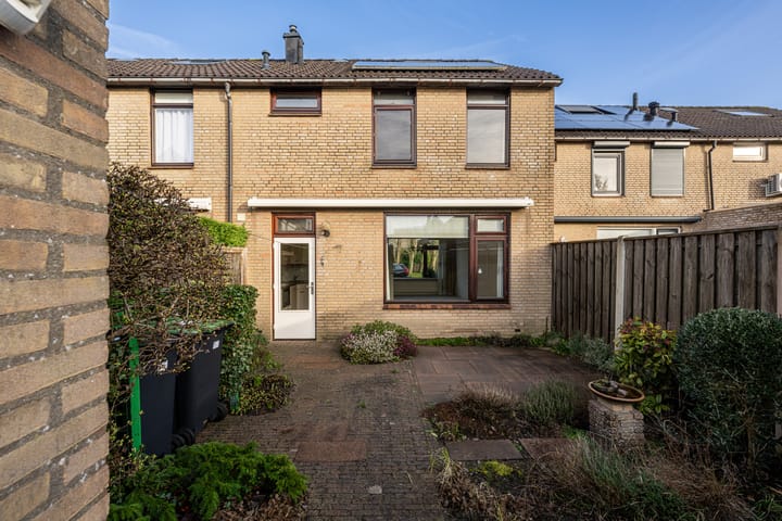 Foto 2 van Tureluur 5