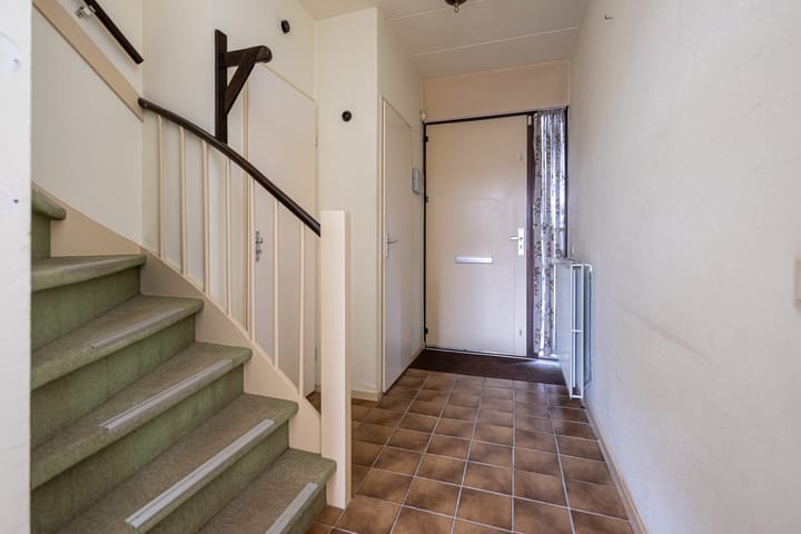 Foto 4 van Tureluur 5