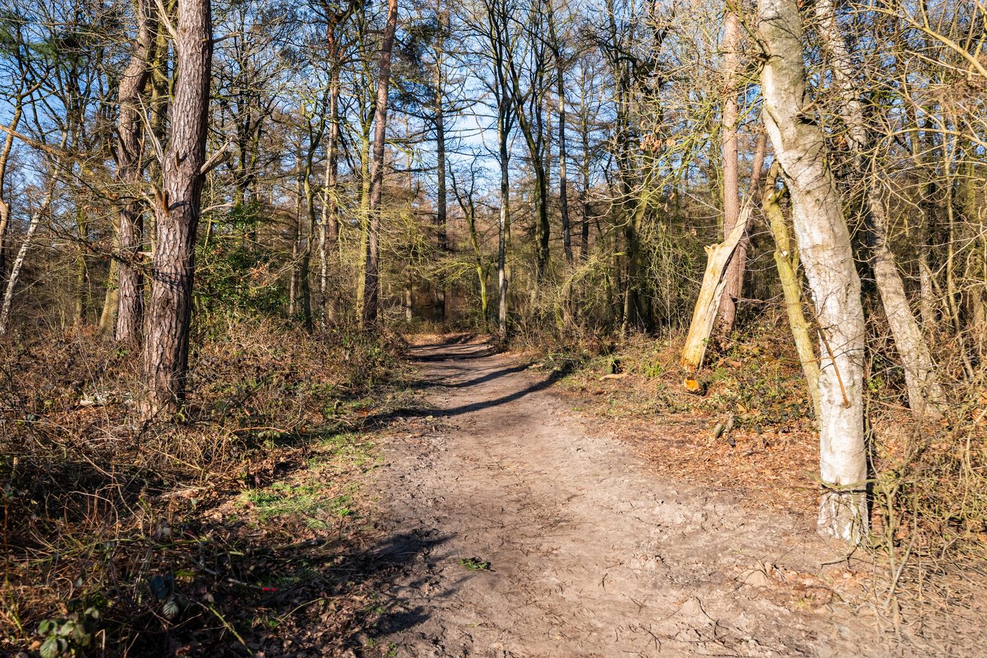 Foto 49 van Enkalaan 155