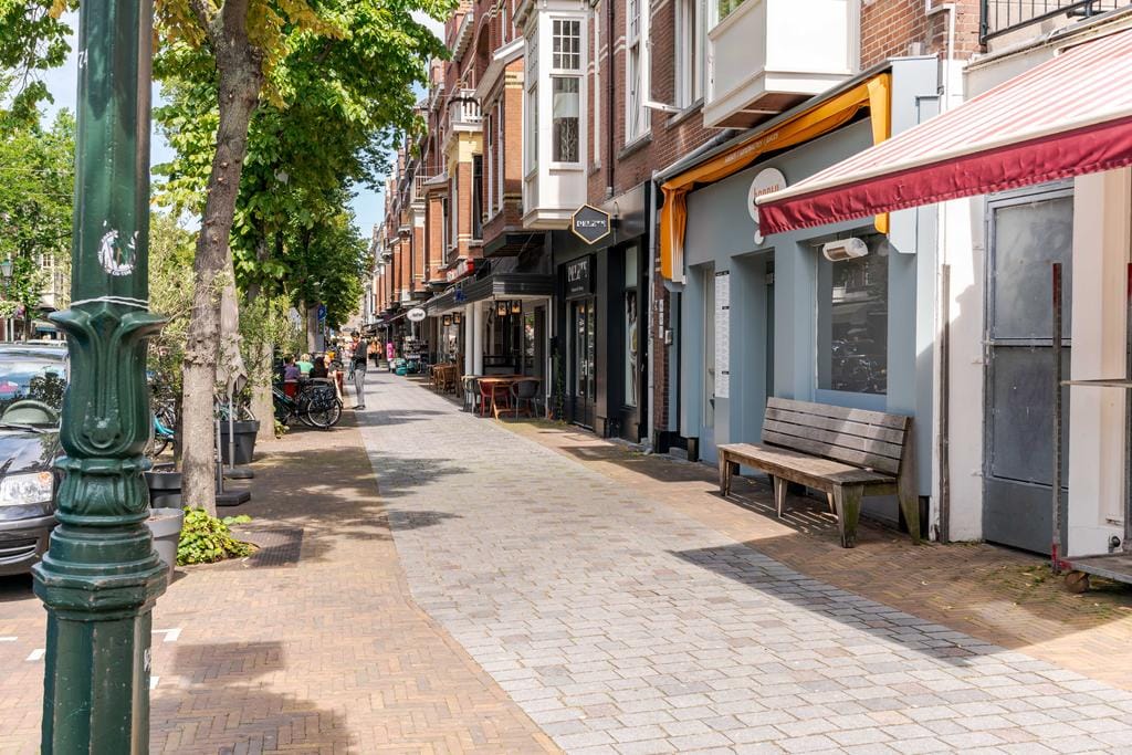 Foto 49 van Frederik Hendriklaan 289