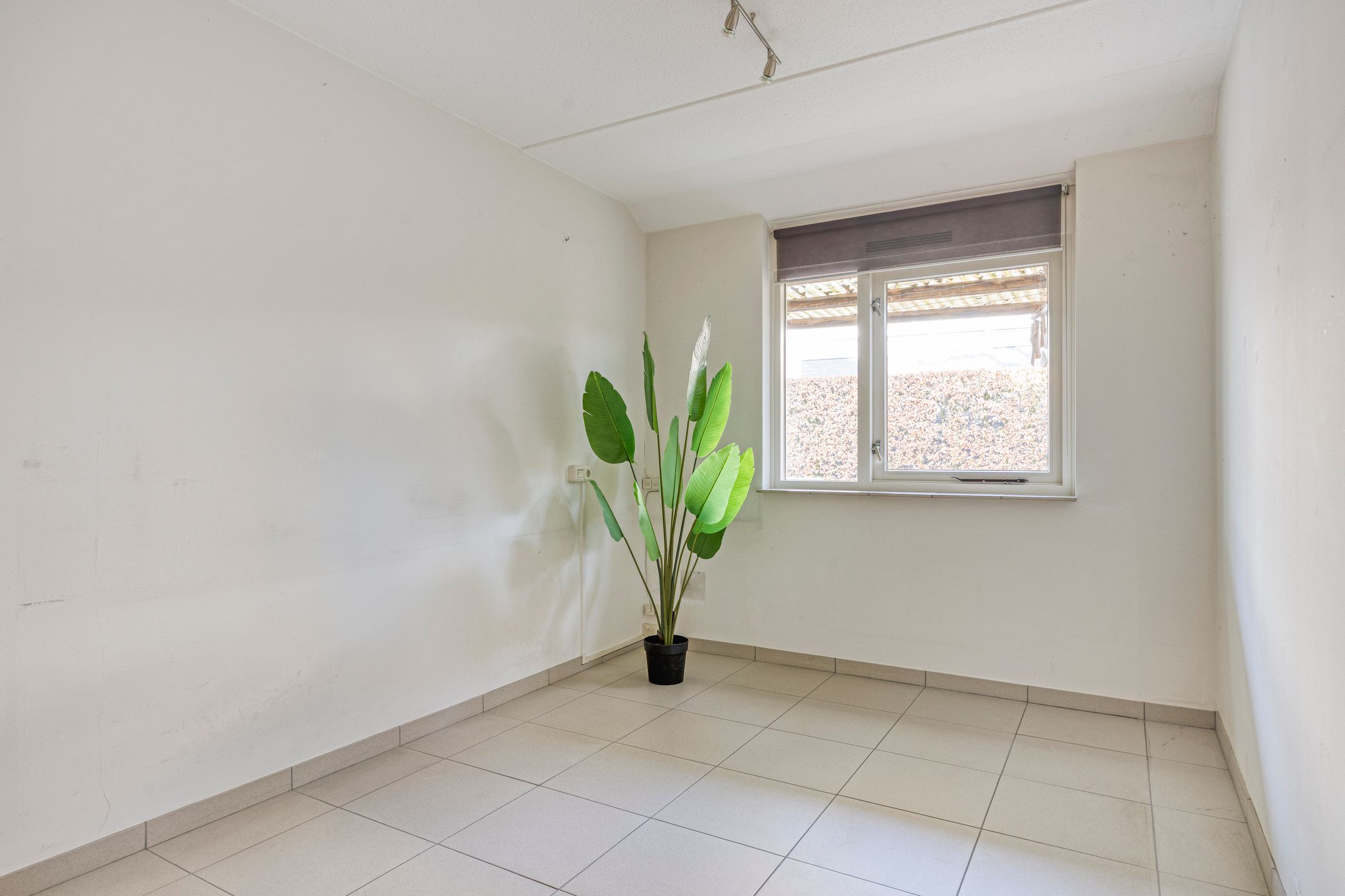 Photo 27 of de vier Uitersten 16