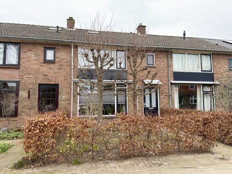 undefined main image