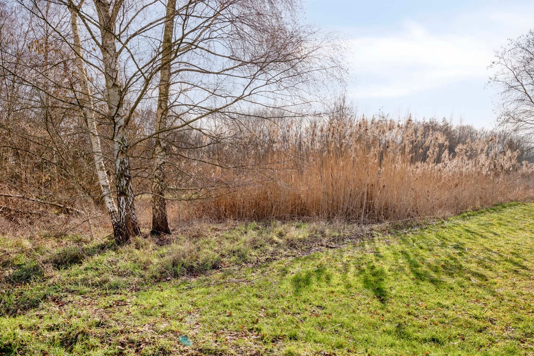 Foto 53 van Provincialeweg 7