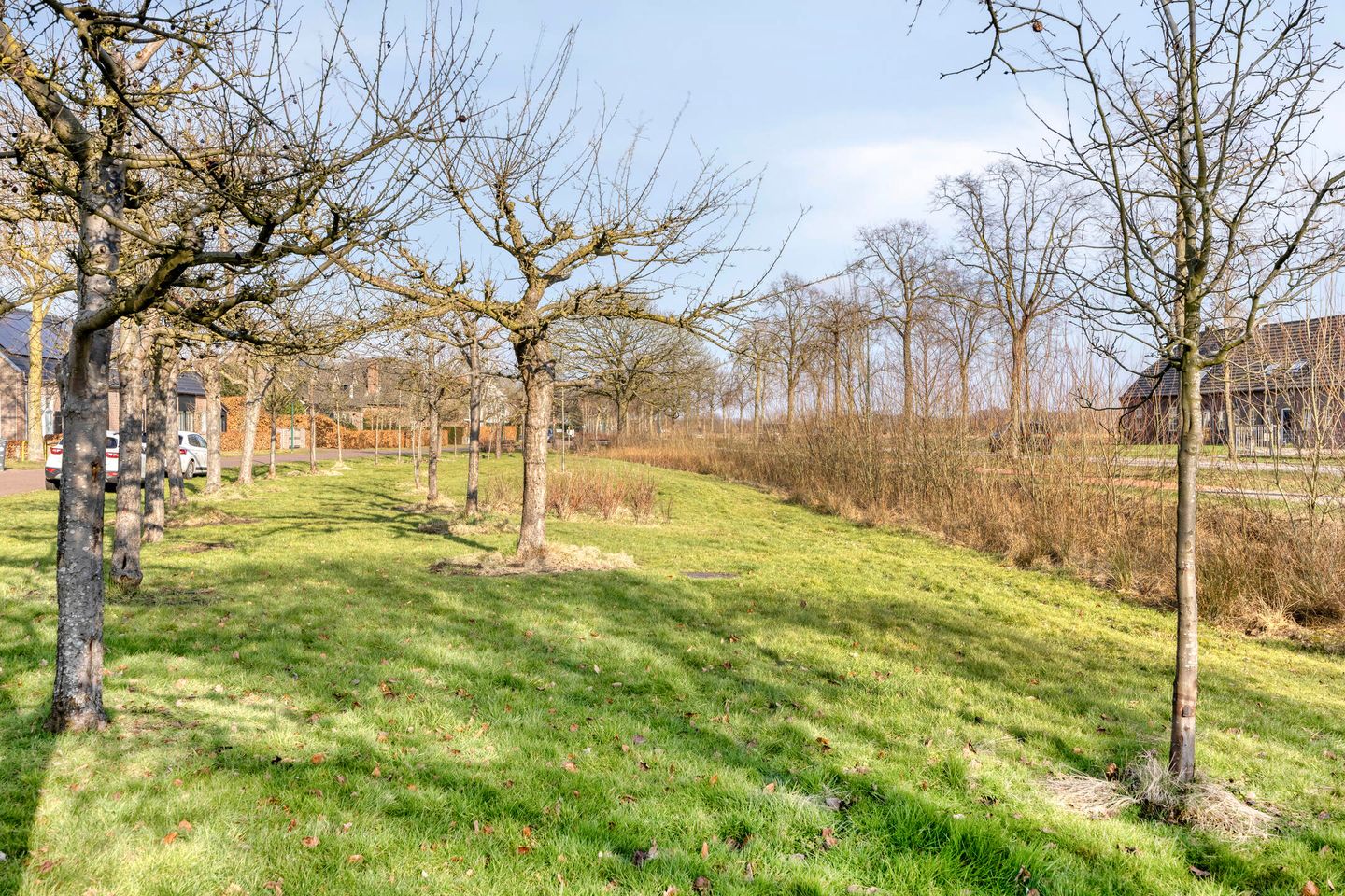 Foto 55 van Provincialeweg 7