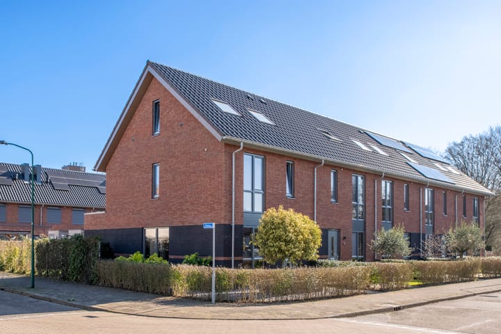 Pollux 4-D main image