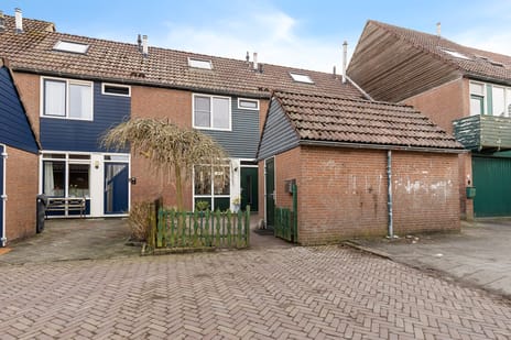 undefined main image