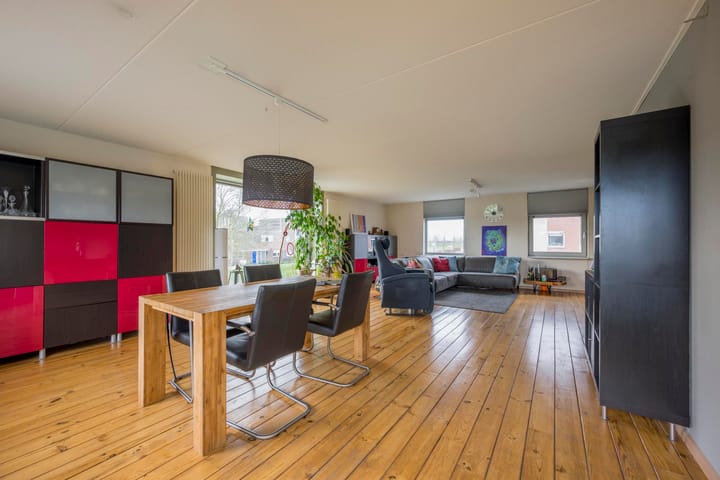 Photo 2 of Punter 19