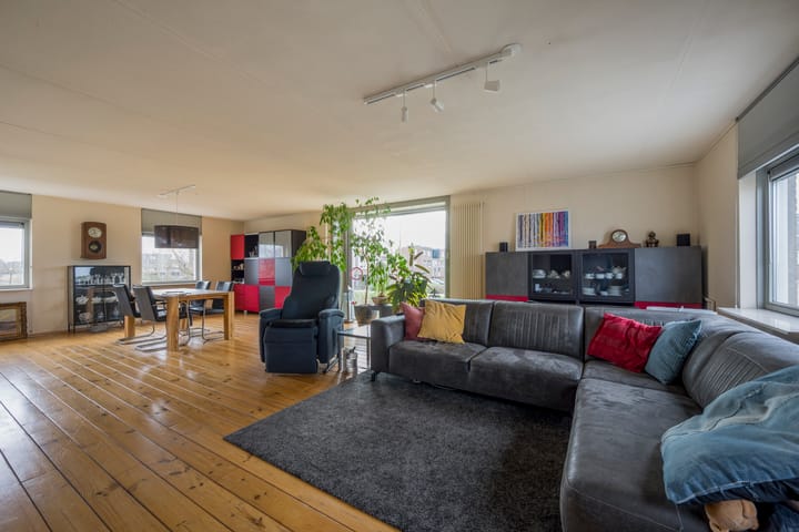 Photo 3 of Punter 19