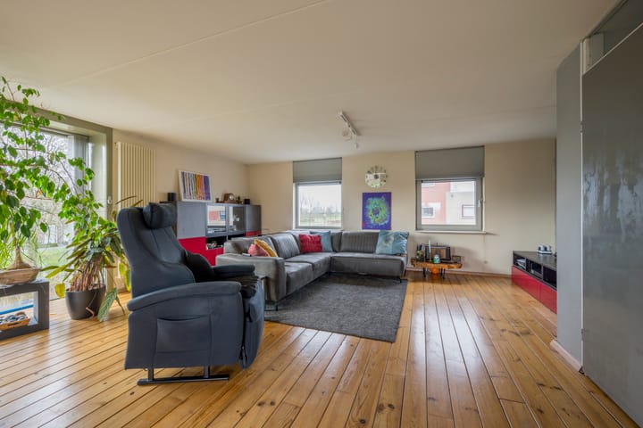 Photo 4 of Punter 19