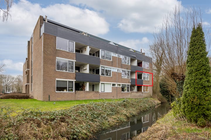 Photo 2 of Hondsdraf 49