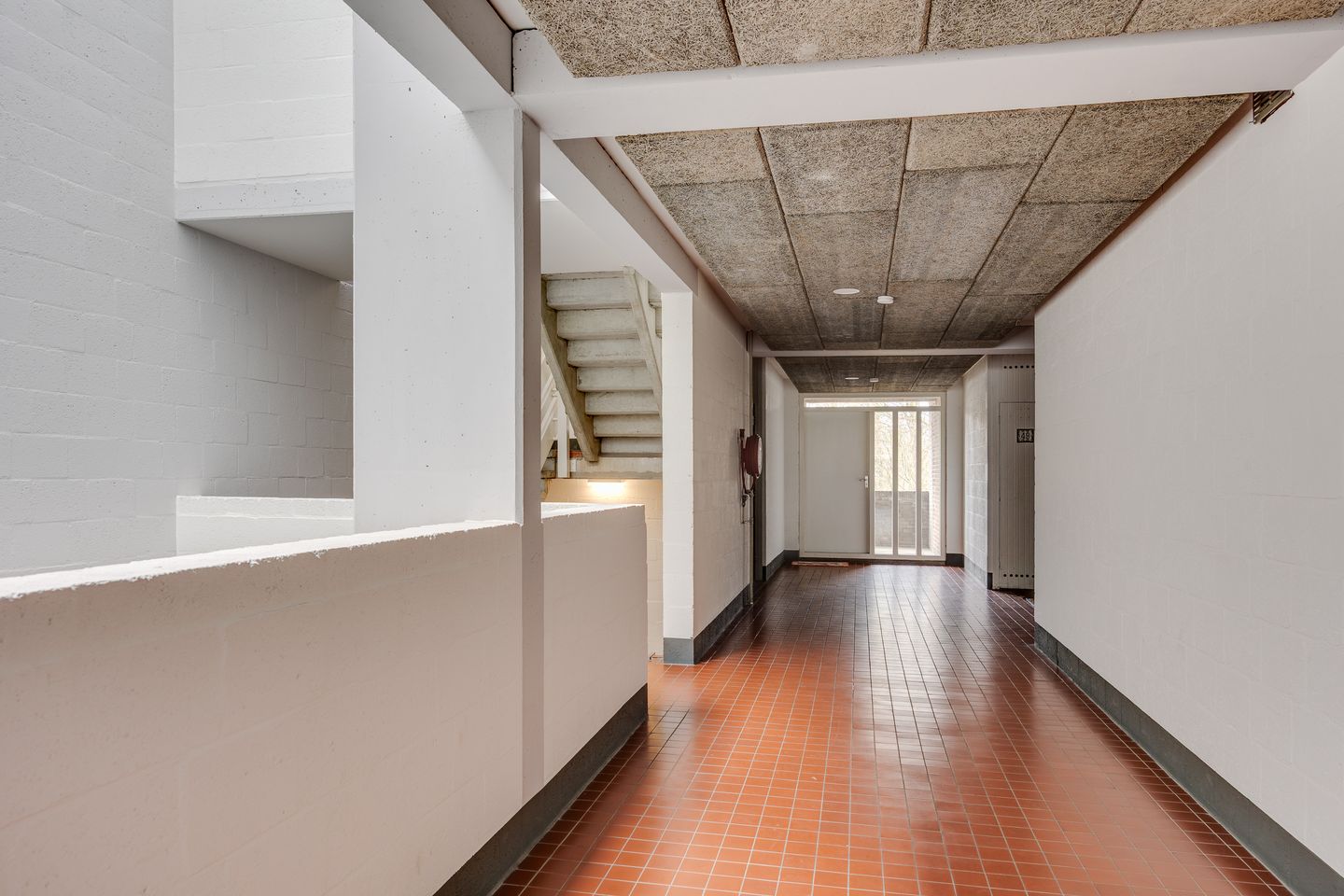 Foto 4 van Hondsdraf 49