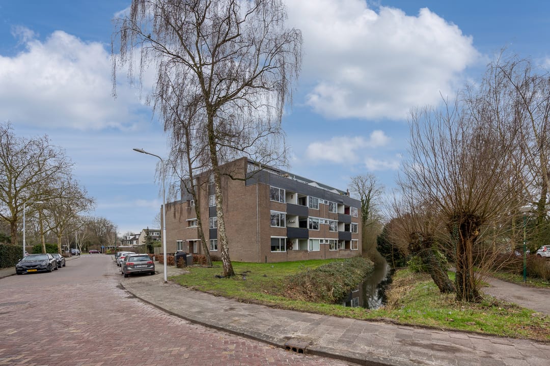 Foto 22 van Hondsdraf 49