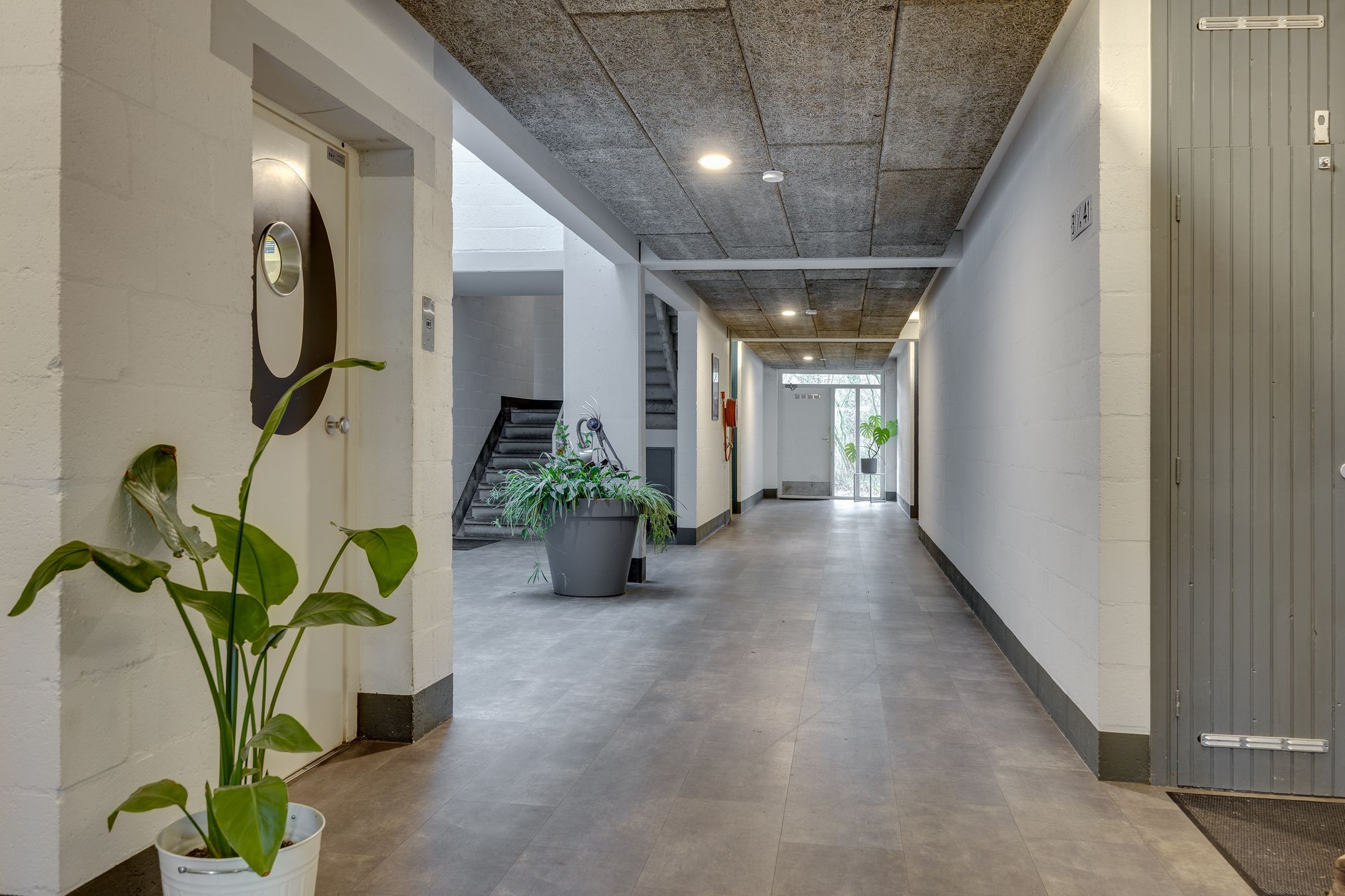 Foto 3 van Hondsdraf 49