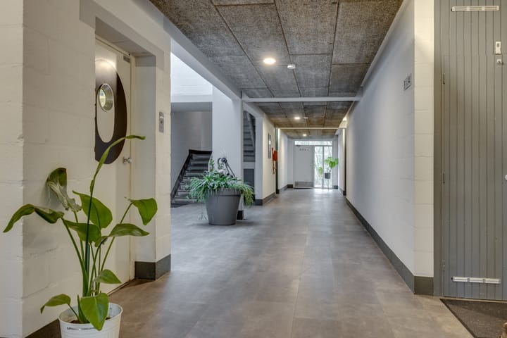 Photo 3 of Hondsdraf 49