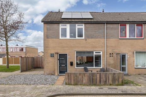 undefined main image