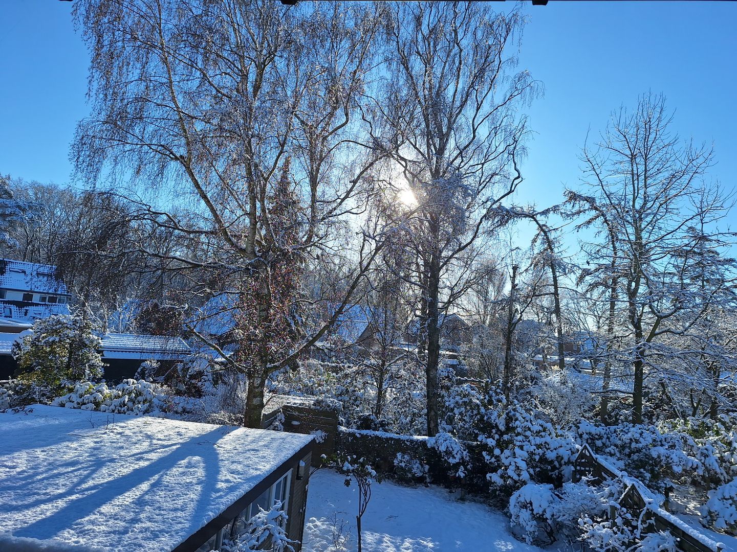 Photo 65 of Artemislaan 22