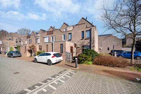 Koraalzwam thumbnail