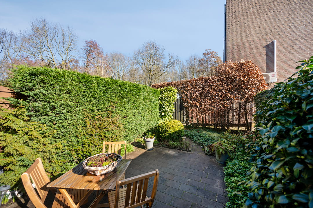 Photo 2 of Koraalzwam 93