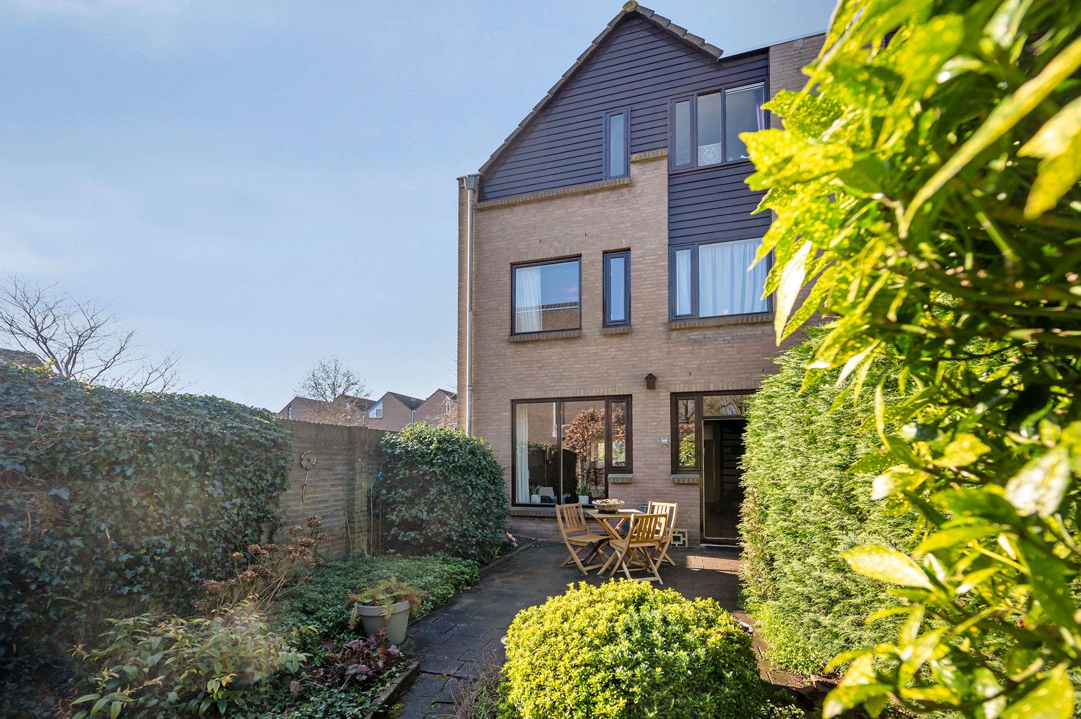 Photo 3 of Koraalzwam 93