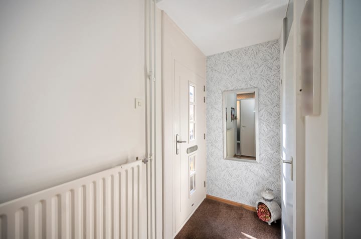 Foto 4 van Koraalzwam 93