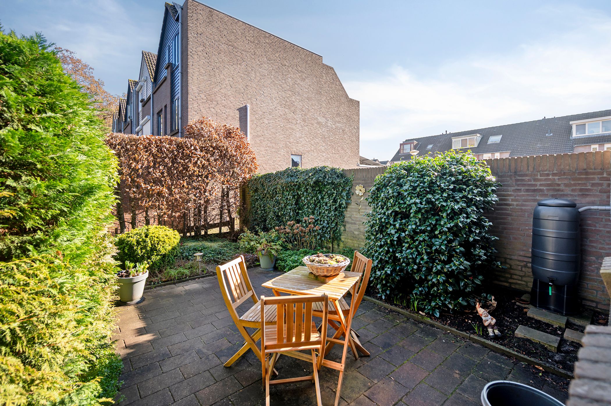 Photo 12 of Koraalzwam 93