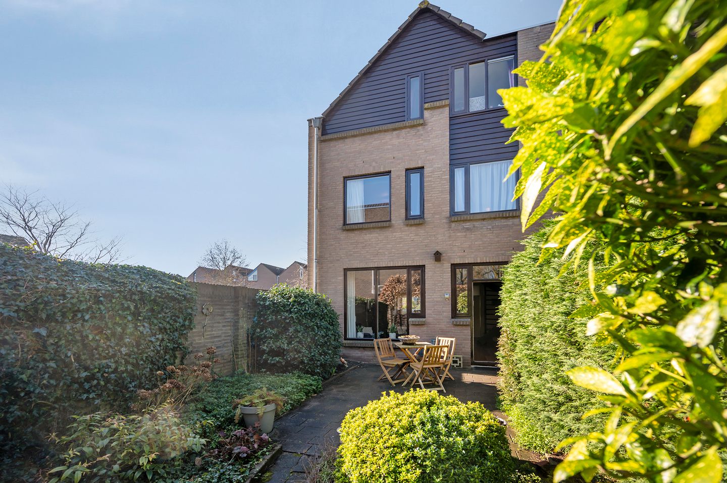 Photo 14 of Koraalzwam 93