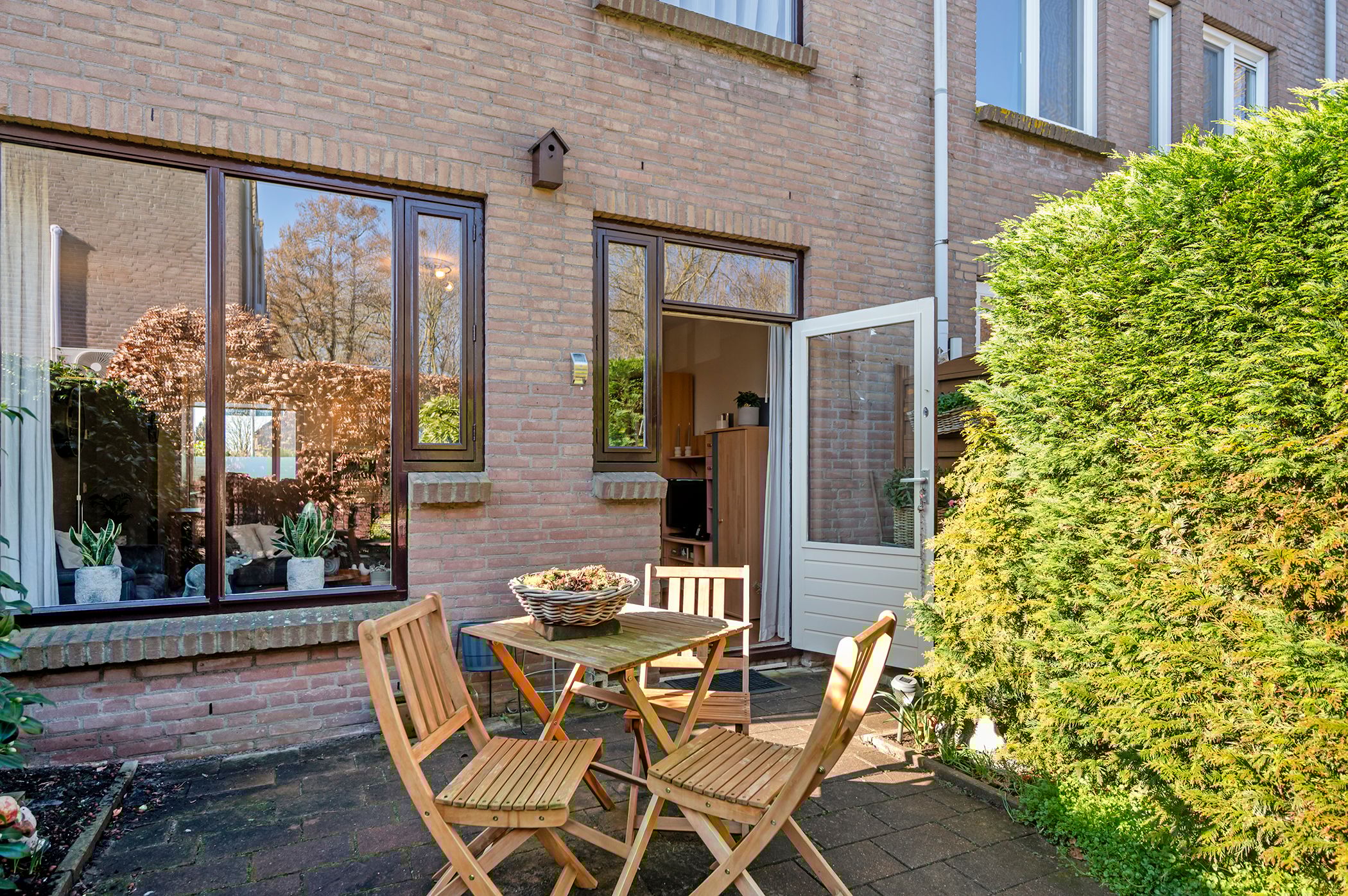 Photo 15 of Koraalzwam 93