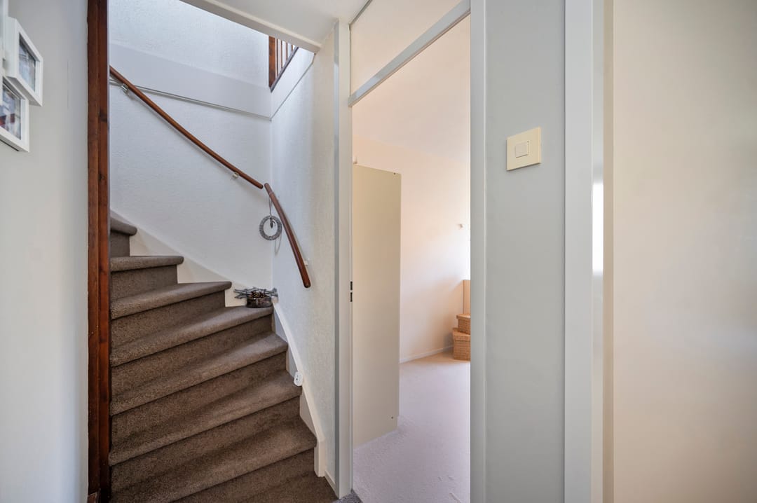 Photo 16 of Koraalzwam 93