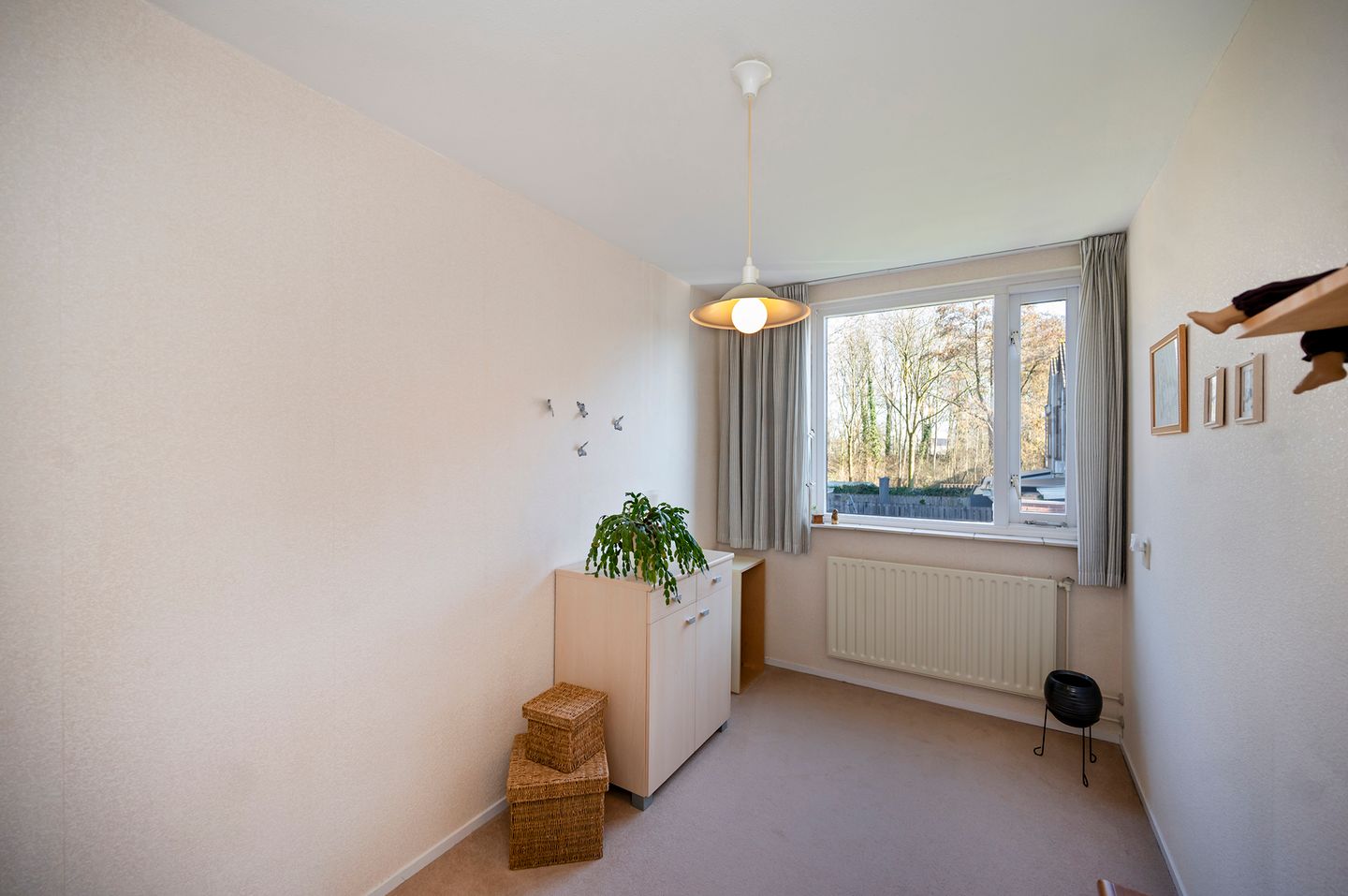 Photo 20 of Koraalzwam 93