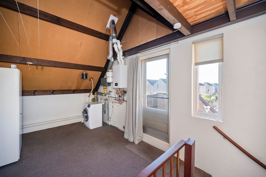 Photo 22 of Koraalzwam 93