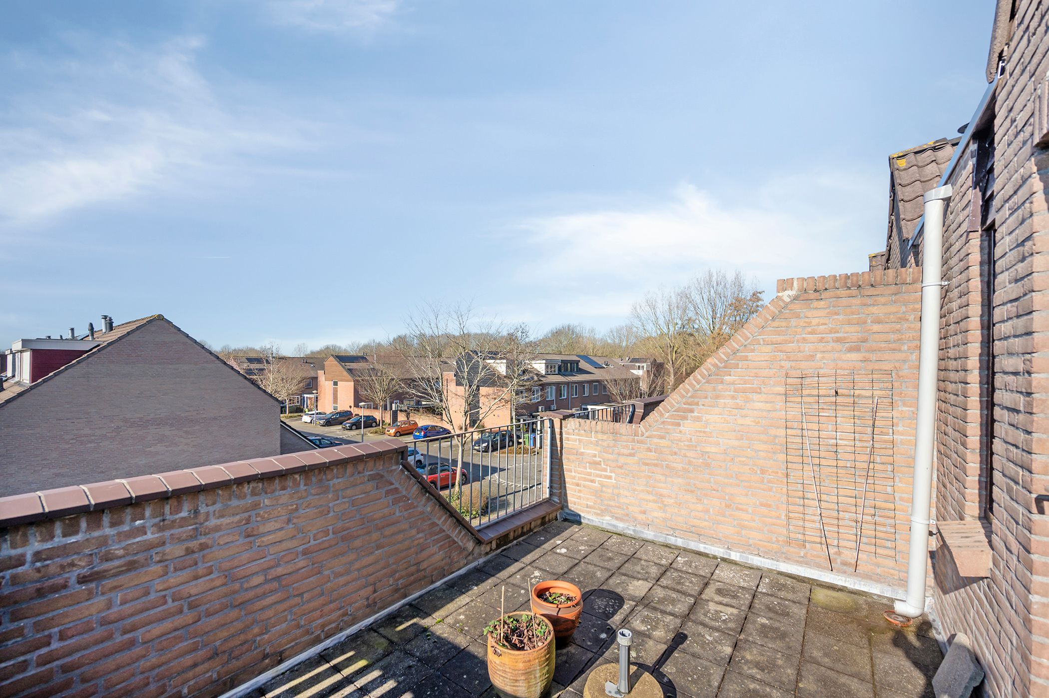 Photo 24 of Koraalzwam 93