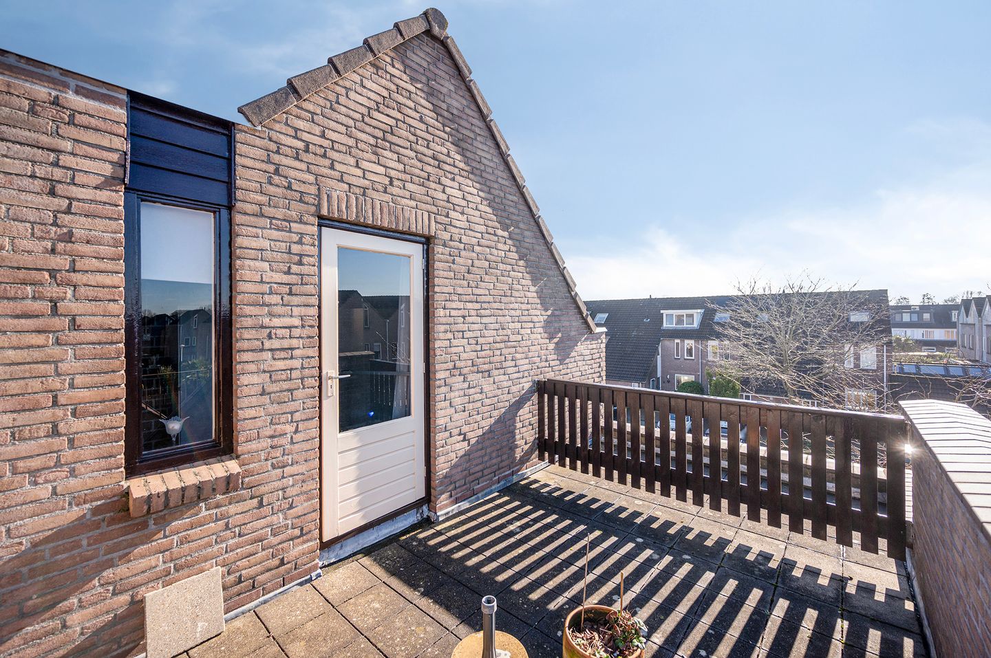 Photo 25 of Koraalzwam 93