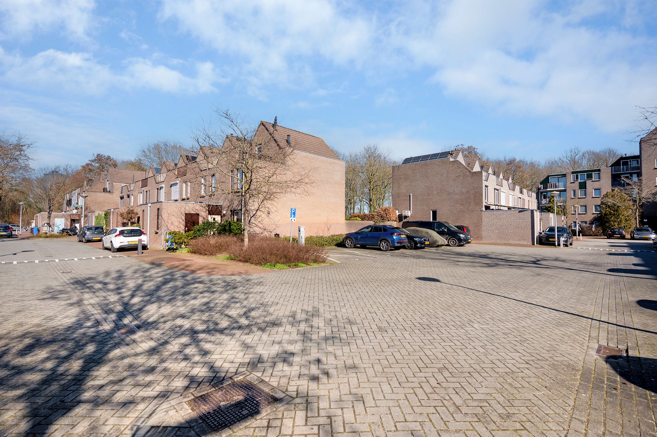 Photo 27 of Koraalzwam 93