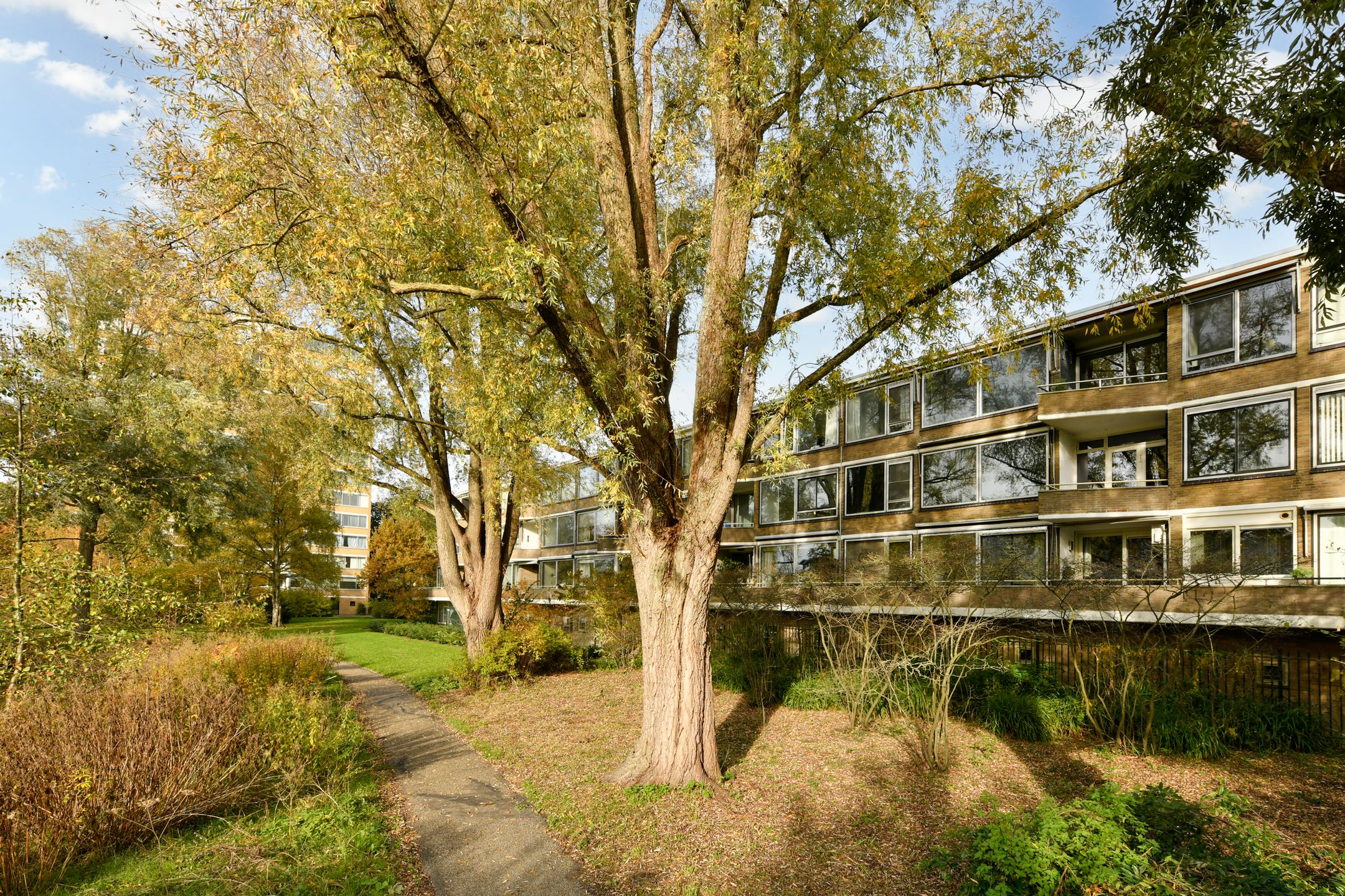 Photo 3 of Meander 553