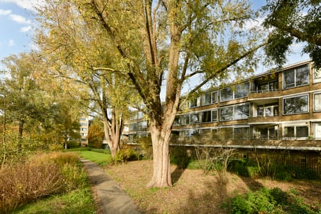 Meander 553 tertiary image