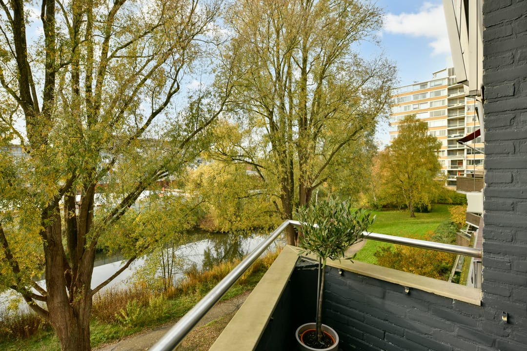 Photo 13 of Meander 553