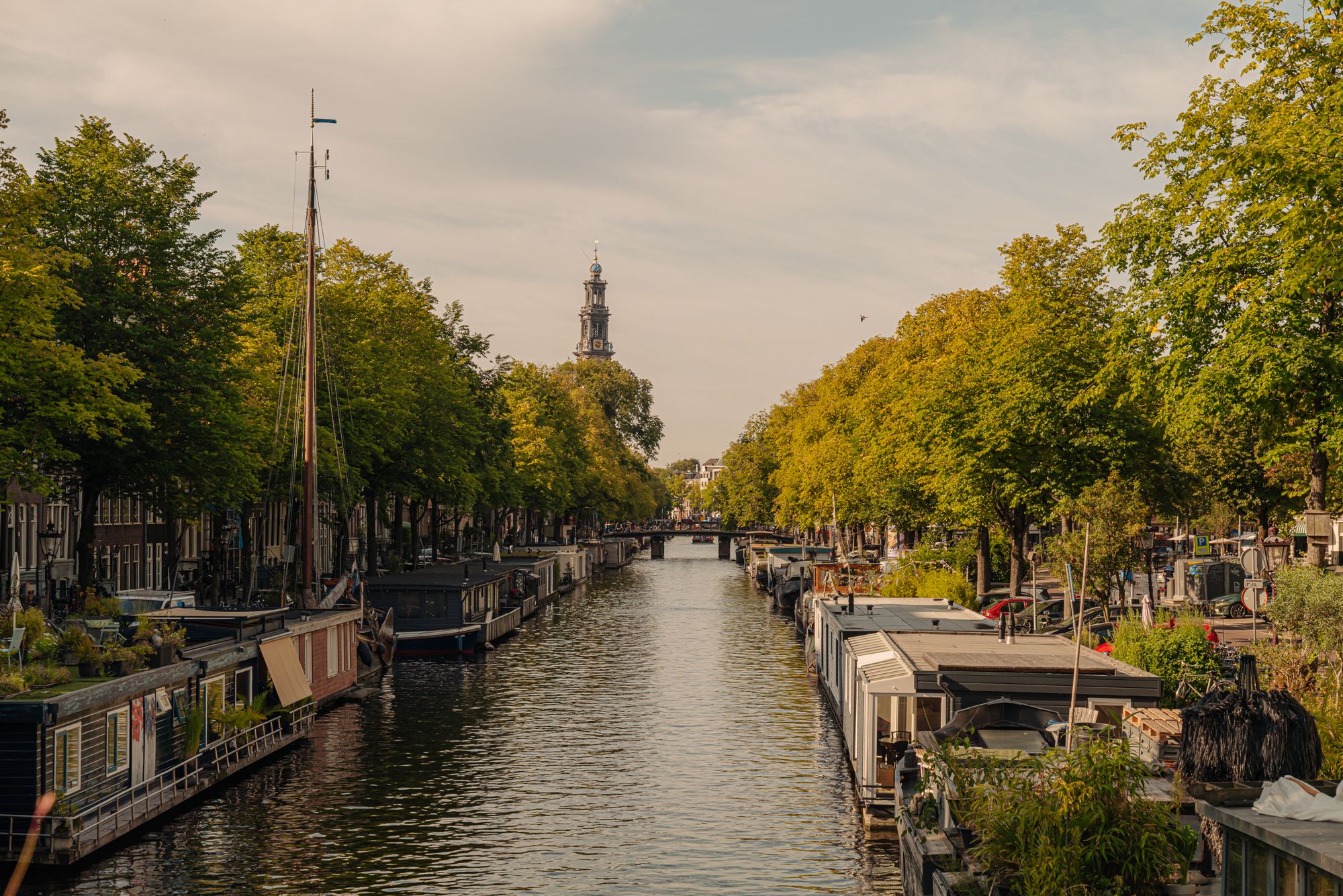 Foto 42 van Bloemstraat 65