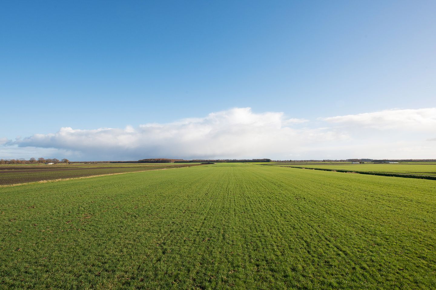 Bekijk foto 3 van Boerenlaan