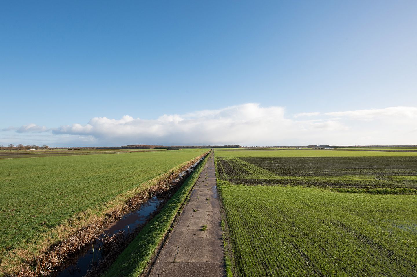 Bekijk foto 2 van Boerenlaan