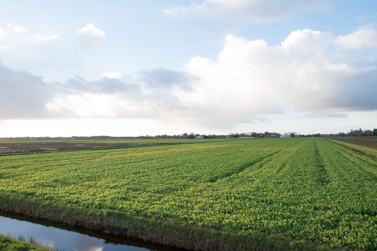 Boerenlaan - Smilde - Afbeelding 7