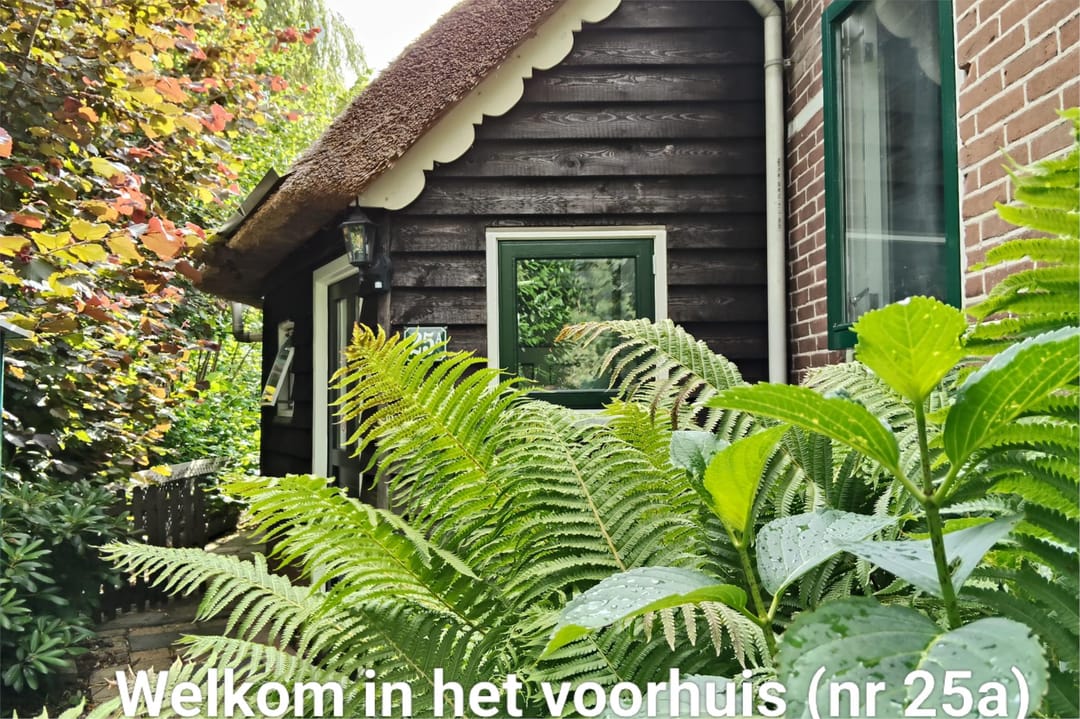 Foto 31 van Binnenpad 25