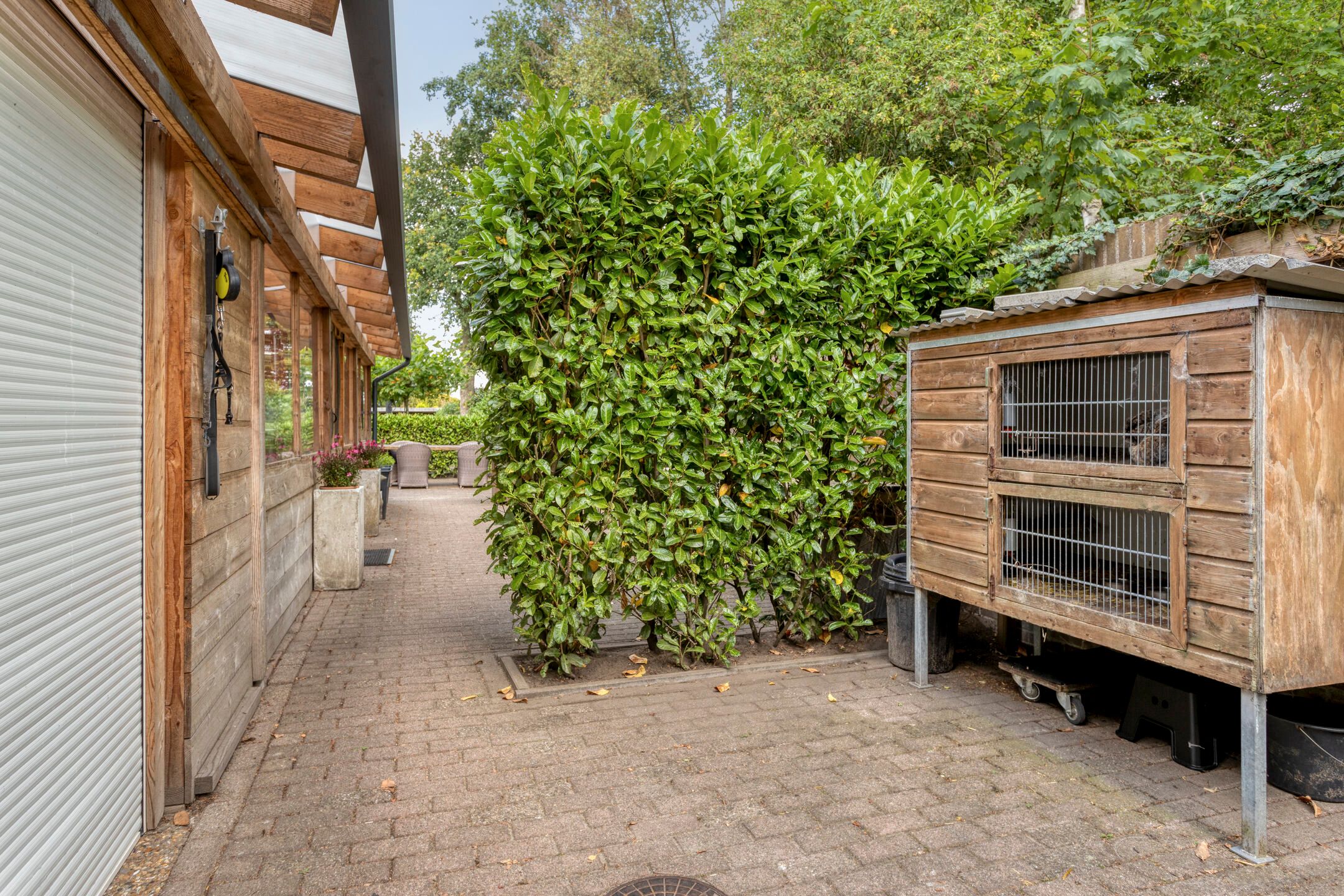 Photo 39 of Hollands Diepstraat 13