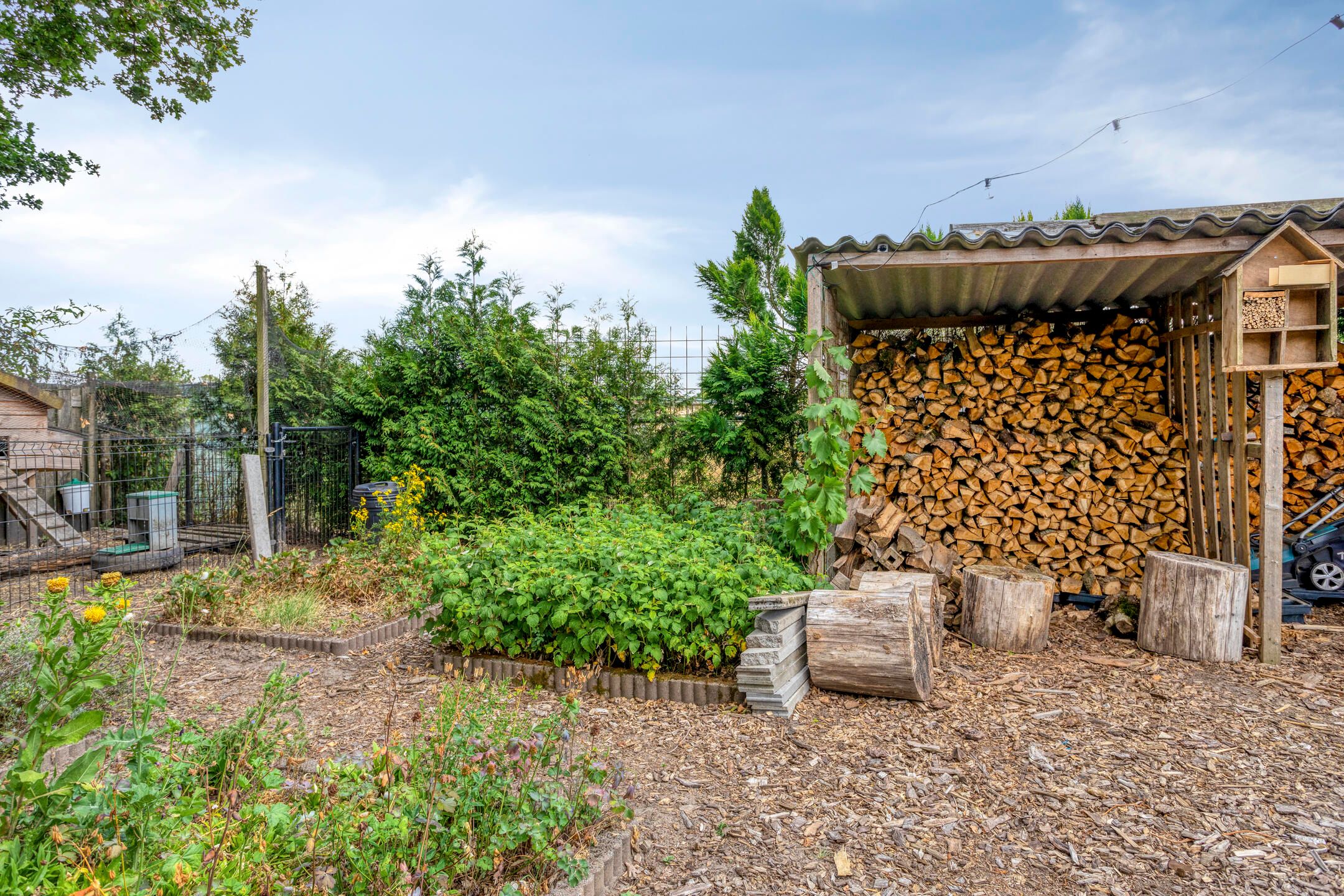 Photo 57 of Hollands Diepstraat 13