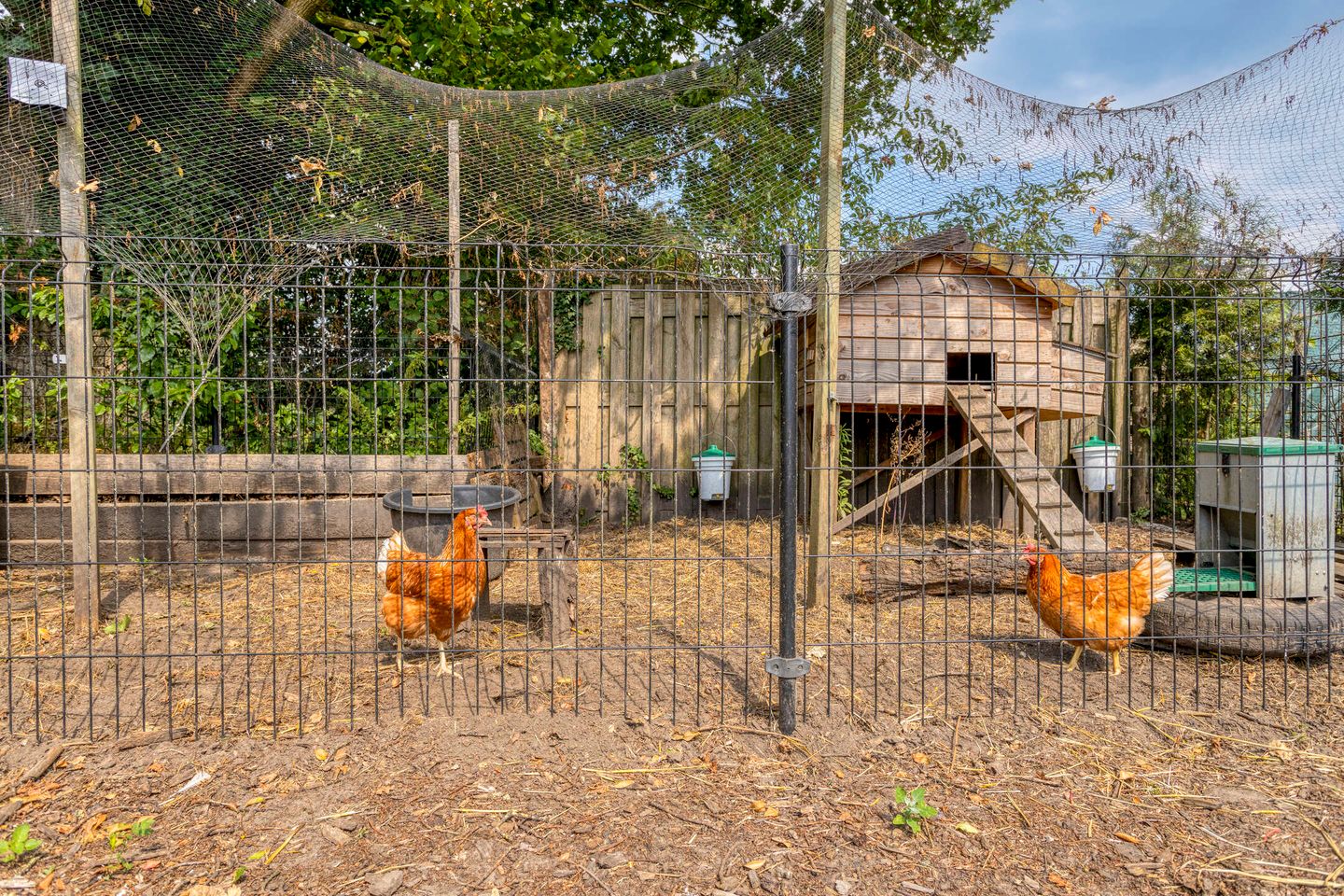 Photo 59 of Hollands Diepstraat 13