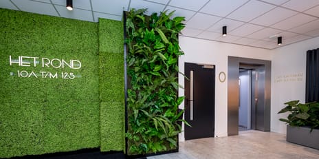 Hart van 079 main image