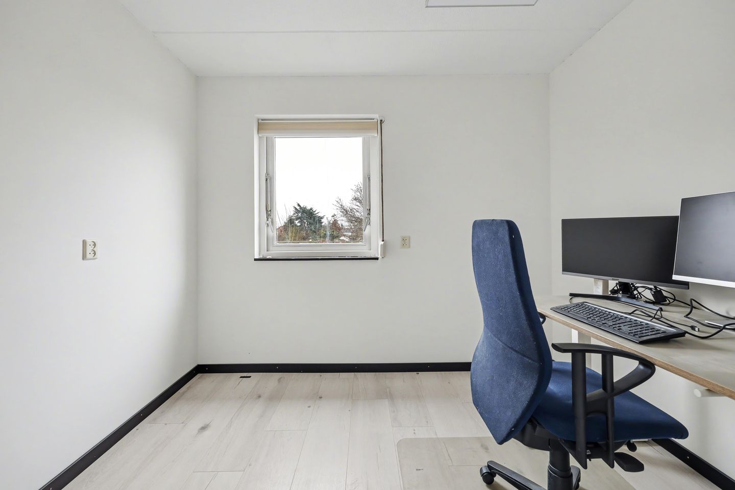 Foto 50 van Bierensstraat 7